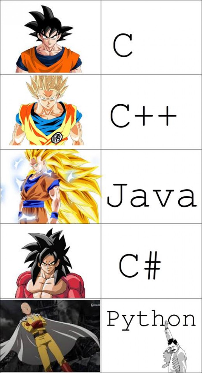 Otaku & programming languages