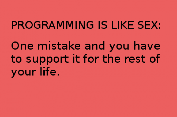 Programming is like sex...