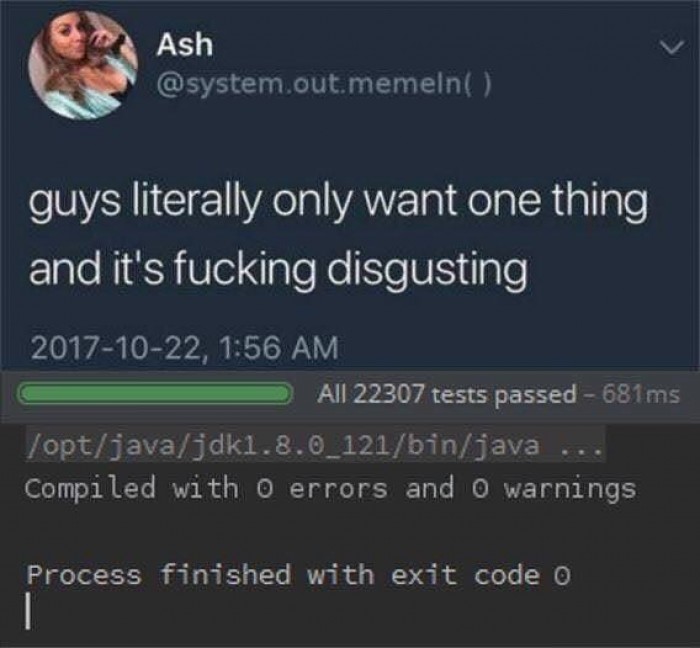 Dream of a programmer