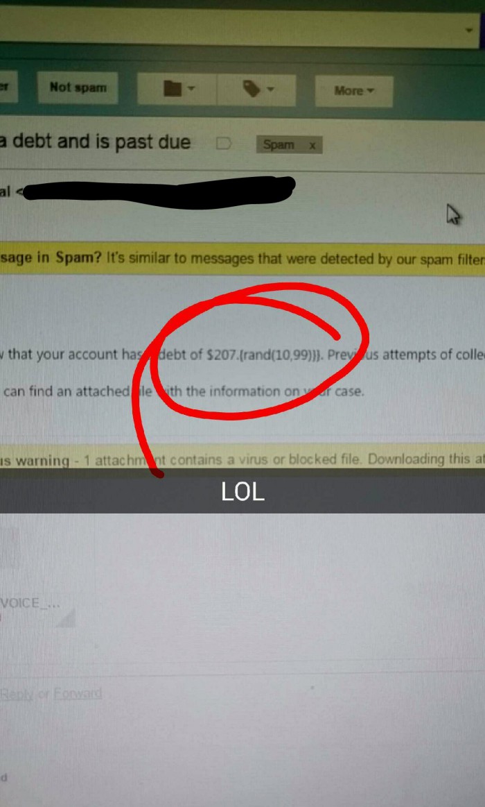 Expert scam