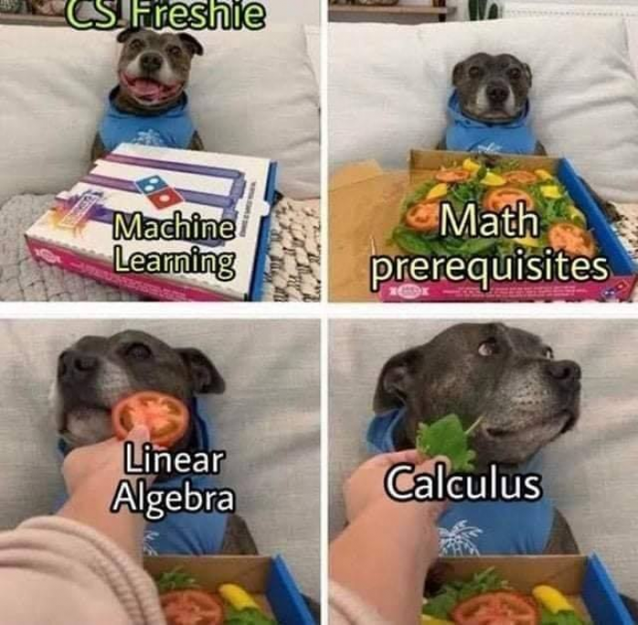 Every first year CS student be like: