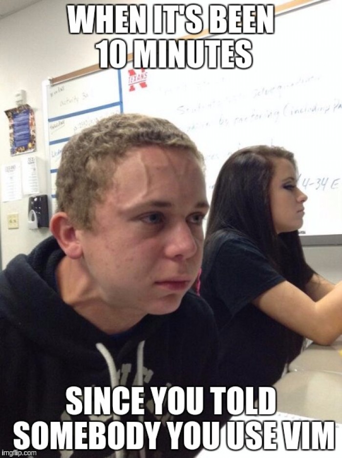 Just say it already... #vim