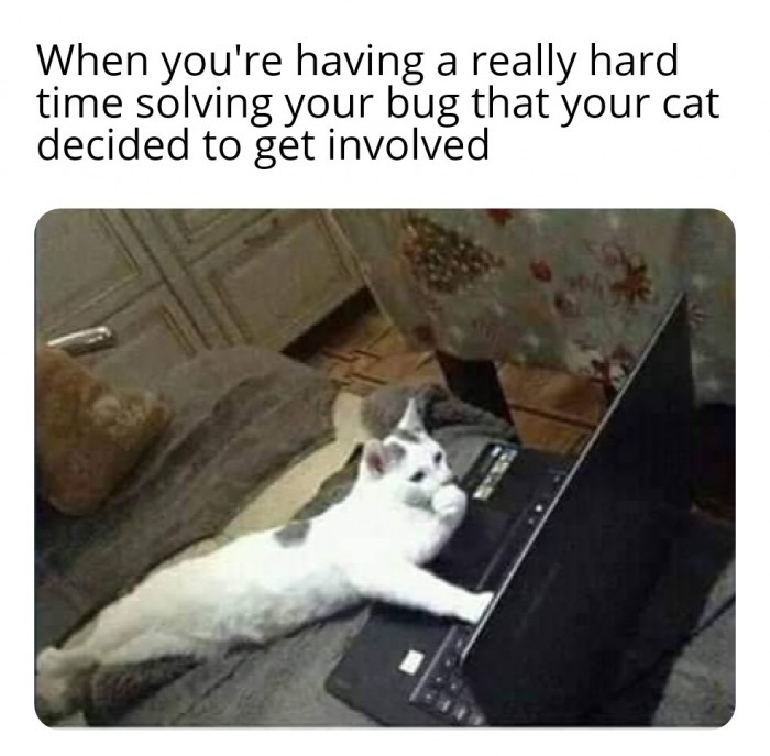 ...