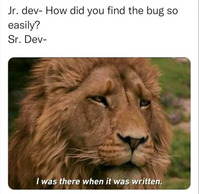 Senior developer wisdom