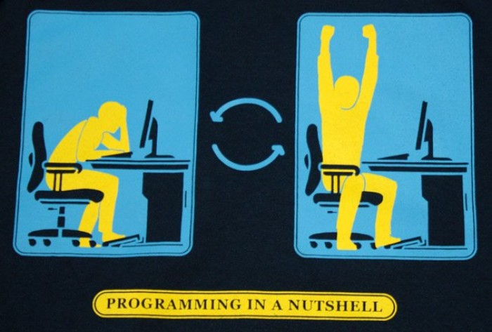 Programming in a nutshell