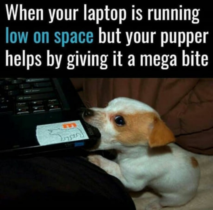 megabyte or mebibyte