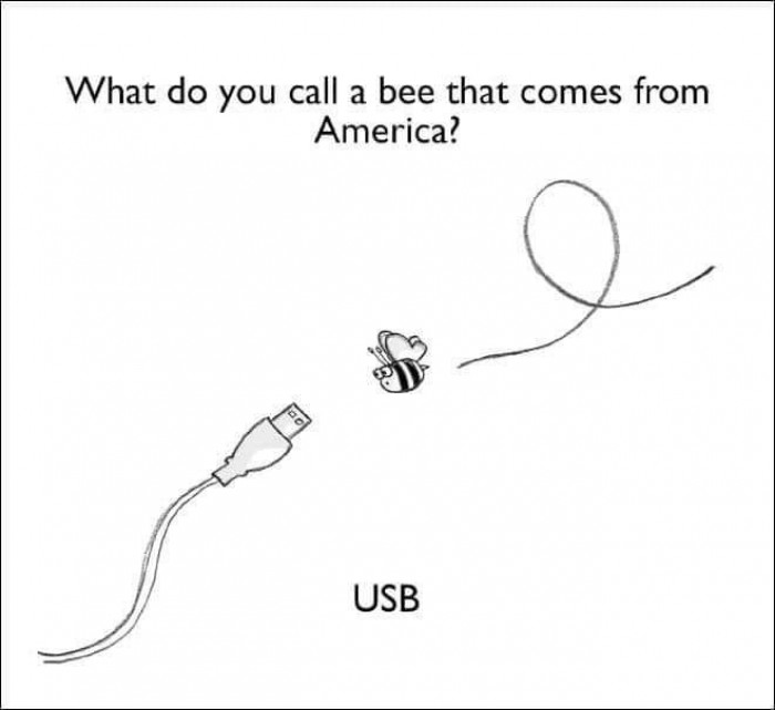 USBee