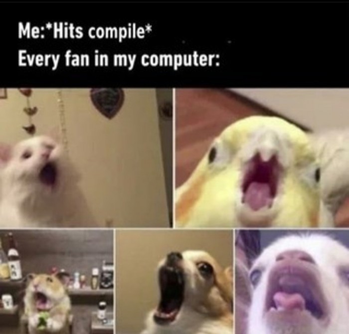 ...