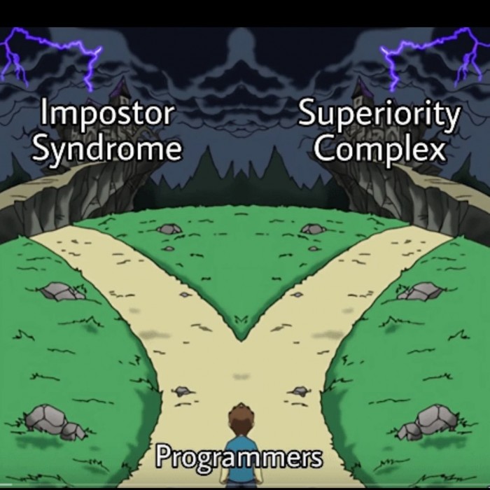 Programmers - life path