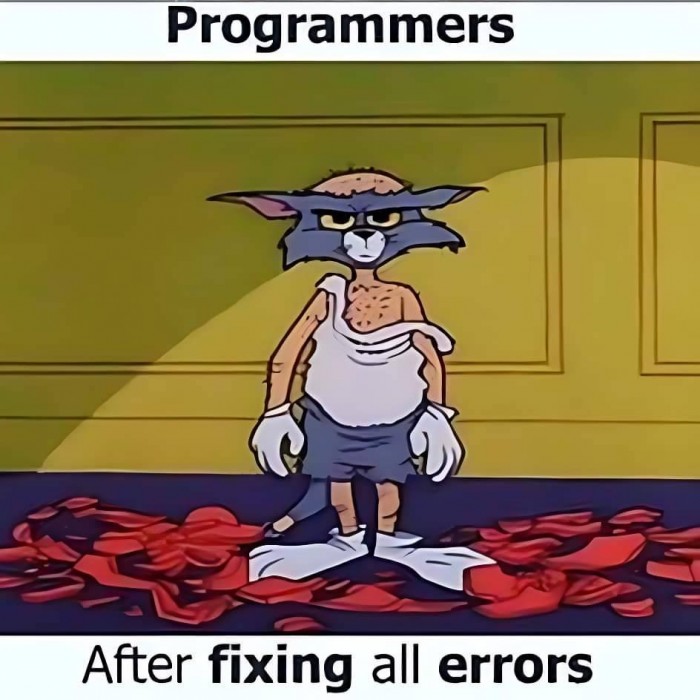 Tom the Programmer