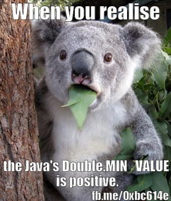 When you realise that Java's Double.MIN_VALUE is positive.