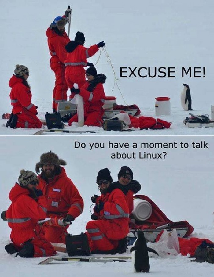  Can we talk about linux? 