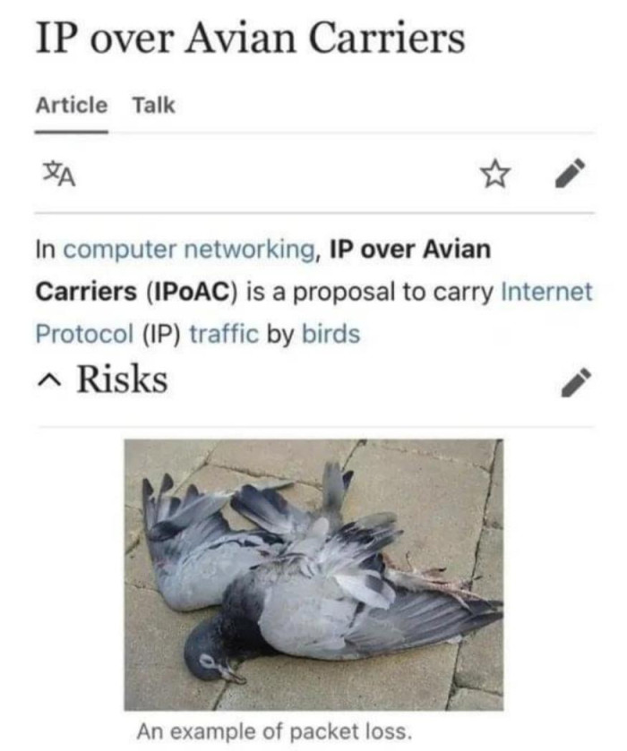 IP over Avian Carriers