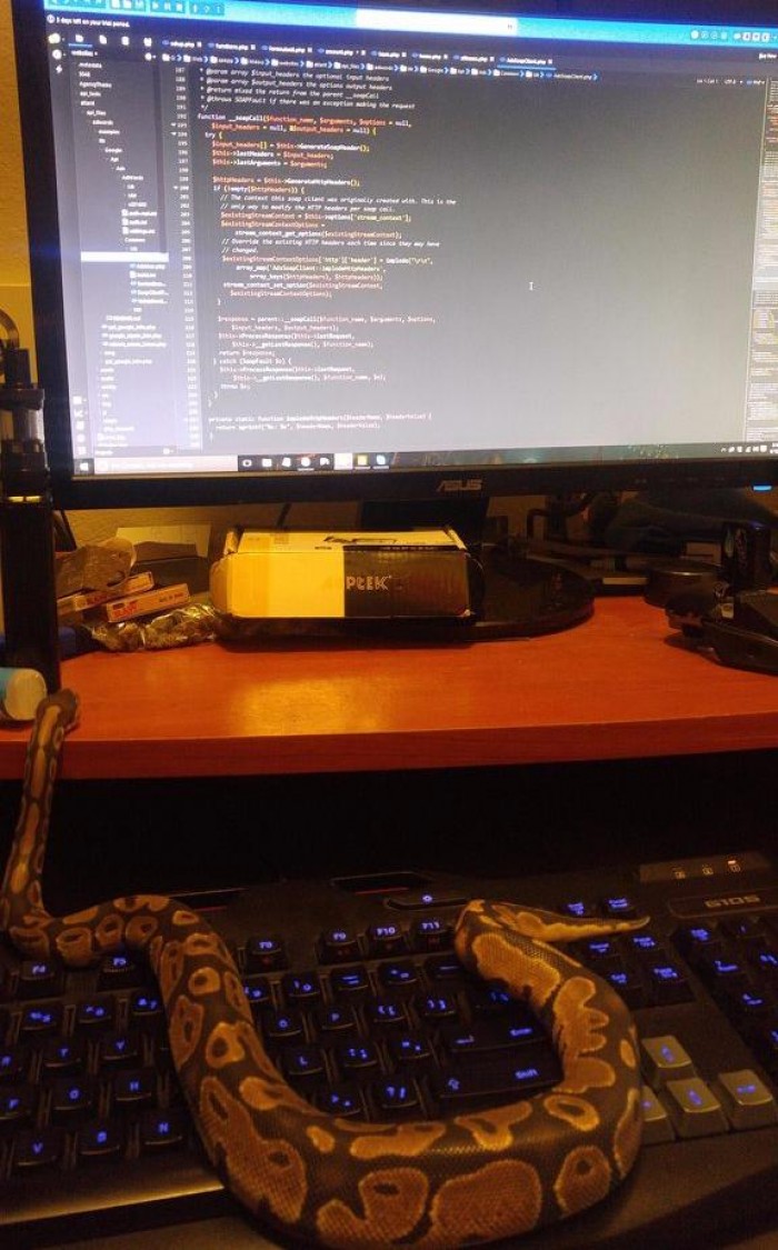 My python is writing php