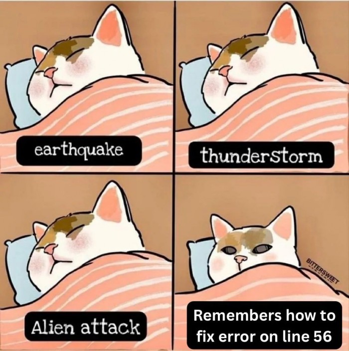 How programmers sleep