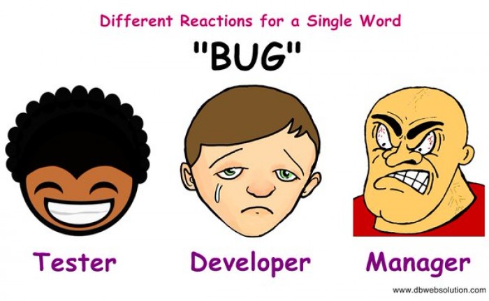 Bug - one word, different reactions