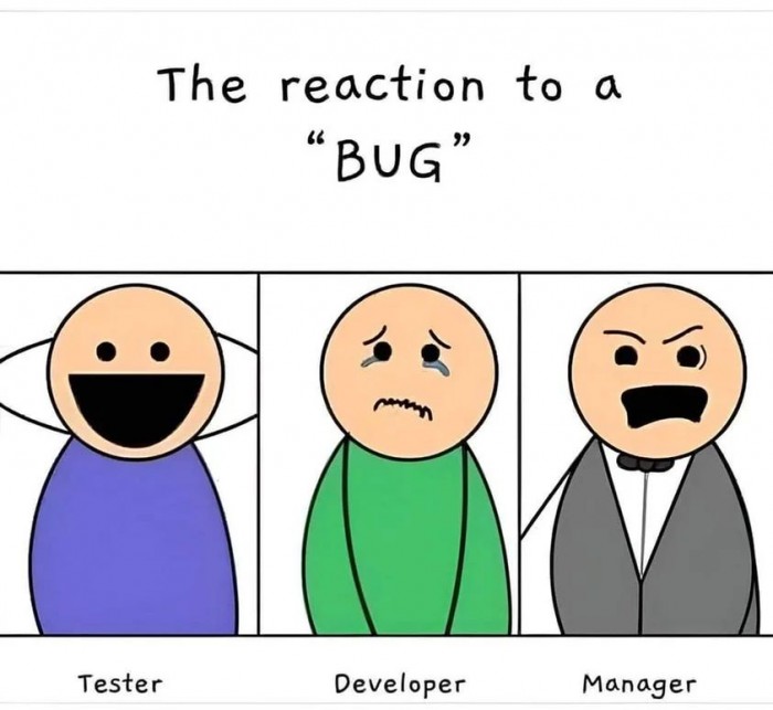 1 bug, 3 different reactions