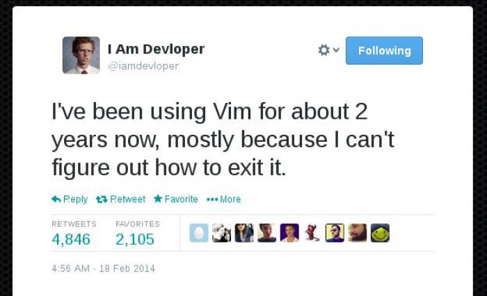 using vim