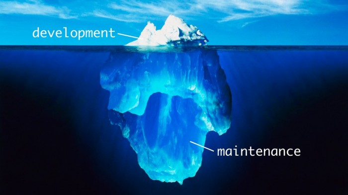 The long term costs of software development