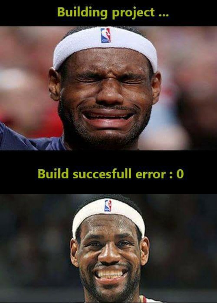 developer