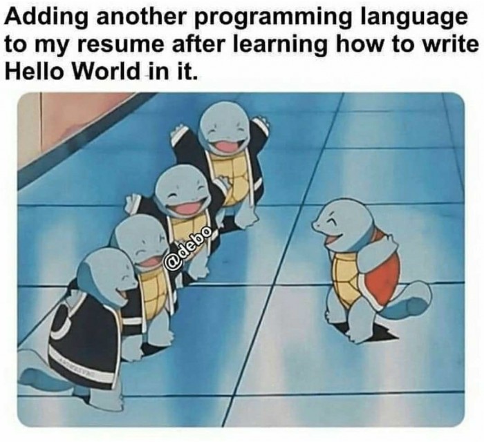 Adding another programming language to my resume