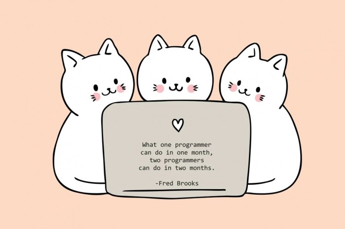 Productive programmers