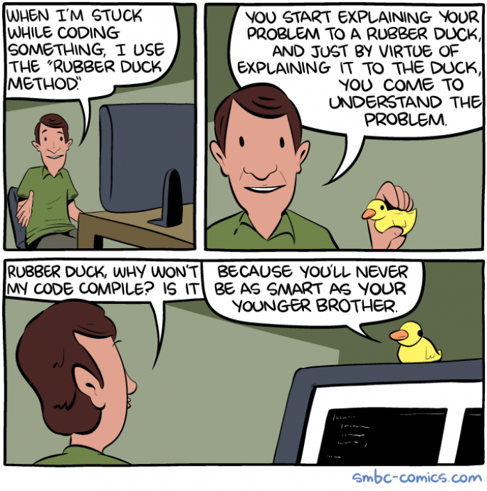 Ducks can be as mean while programming as they are during mating