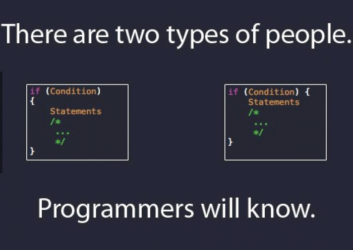 There are 2 types of programmers