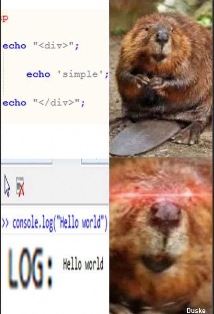console.log