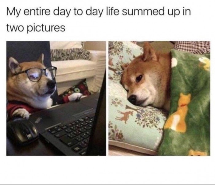 ...