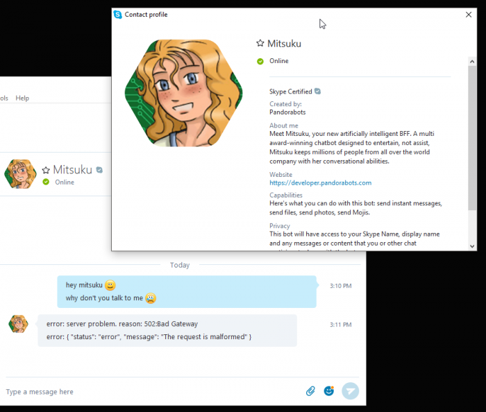 This Skype bot