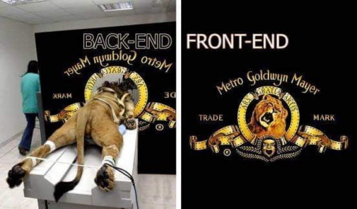 Front vs backend