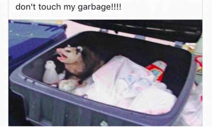 ...