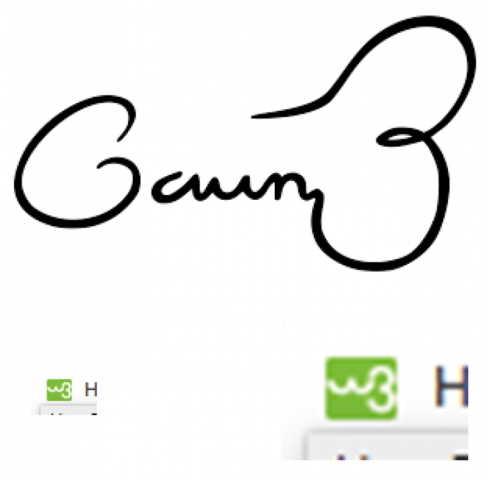 The W3Schools logo looks like the Gavin Belson signature edition